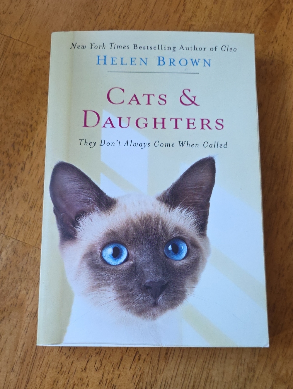 Cats & Daughters Softcover Book By Helen Brown